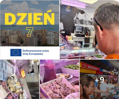 Galeria zdjęć - miniatura